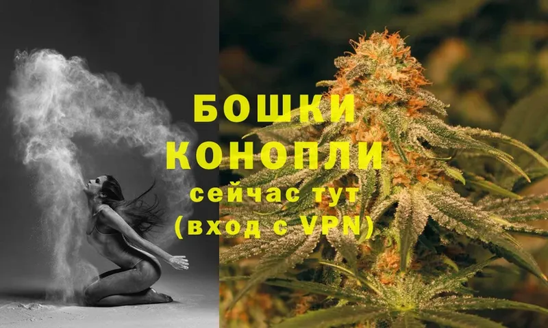 Бошки Шишки SATIVA & INDICA  сколько стоит  Дивногорск 